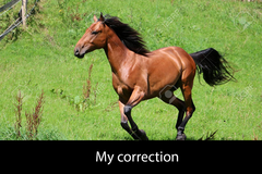 Most ridiculous complaint