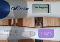 RPC? Chemical Pregnancy? Please come help me work out what's going on here!