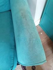 I just bought a bissel spot cleaner. Anyone want to see what cam out of my dirty pouffe?