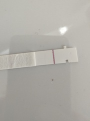 Clear blue evap line