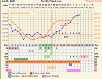 9DPO Symptom Spotting