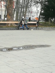 Strangest thing you've seen someone do in public?
