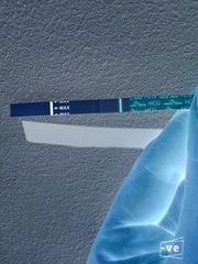 12 dpo line eyes