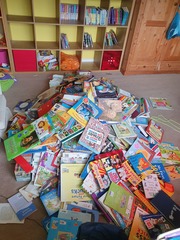 Decluttering one item a day thread number 18 – quickly stashing our clutter in charity shops now we can let people back inside our houses