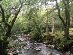 Any Witches Here? Part 14.