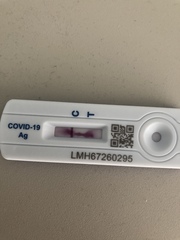 The new lateral flow tests?
