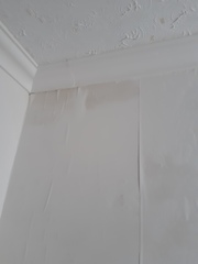 Damp patch on wall. Roof work hasn't helped