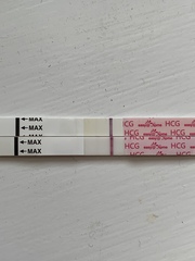 12 dpo line eyes
