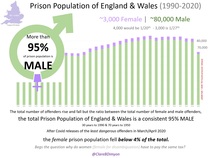 Trans prisoners in Ireland:  update