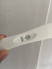 Can you see a line?!?