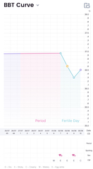 Tracking ovulation after miscarriage- peak 7 days after?!