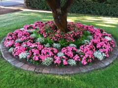 Can you help me with my front garden please?