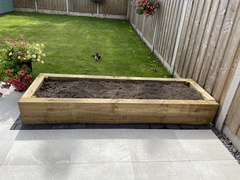 Novice note very active gardener what should I plant in my new raised beds?