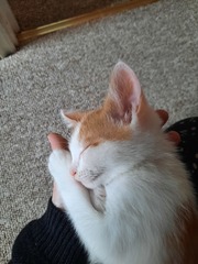 New little friend arrived yesterday!