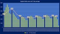 Data, Stats & Daily Numbers started 5th August 2021