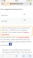 Boob or bust help please