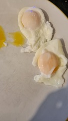 Poached eggs  pics
