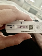 The new lateral flow tests?