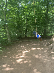 Read Mumsnetters’ feedback on Valspar Premium Blend v700™ Walls & Ceilings Paint