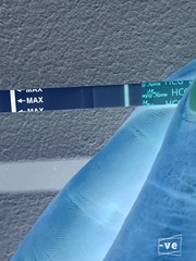 12 dpo line eyes