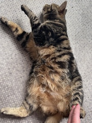 My Daphne is not very well. I just know it
