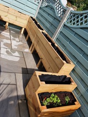 Complete novice...help me plant up