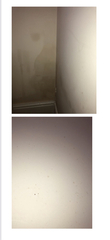 Help! Any damp detectives here?