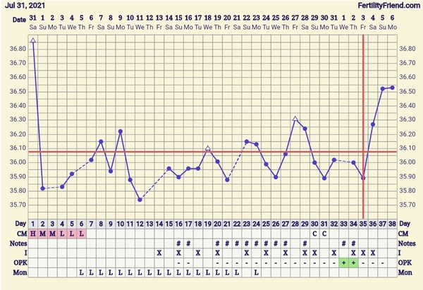 Have I ovulated? BBT chart