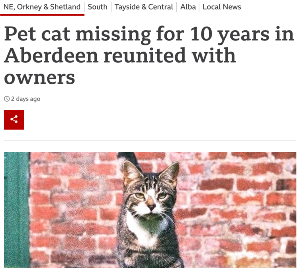 is it possible for a cat to disappear from the family home for months or years then one day just   come back?