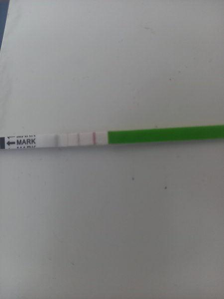 When did I ovulate?