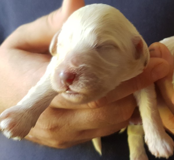 Name suggestions help!