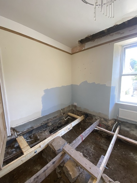 Old house, the rising damp debate