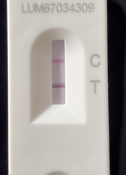 How long did it take you to get your PCR result?