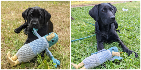 Puppy survival thread September and the pups just want to eat all the leaves!