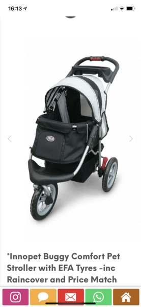 To buy my dog a pram?