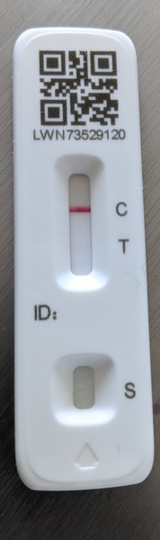 I think this test is positive, am I seeing things?