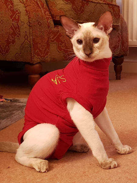 What's your DCat up to today? (Thread 9)