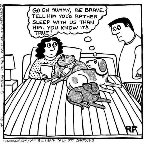 Puppy survival thread. Cold nights in the garden ... yeah...no