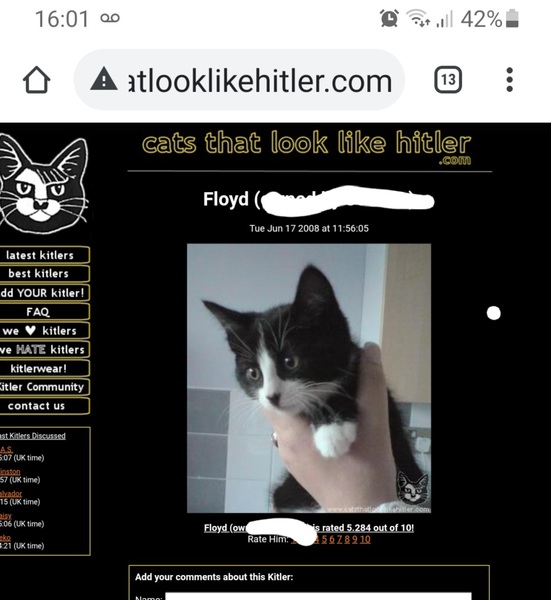 Please help me name my cat with moustache.