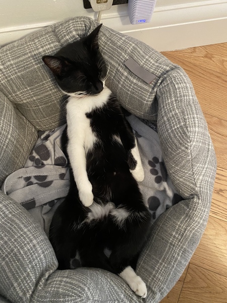 Plans for the day