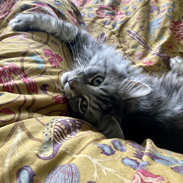 A question about poop (sorry!)