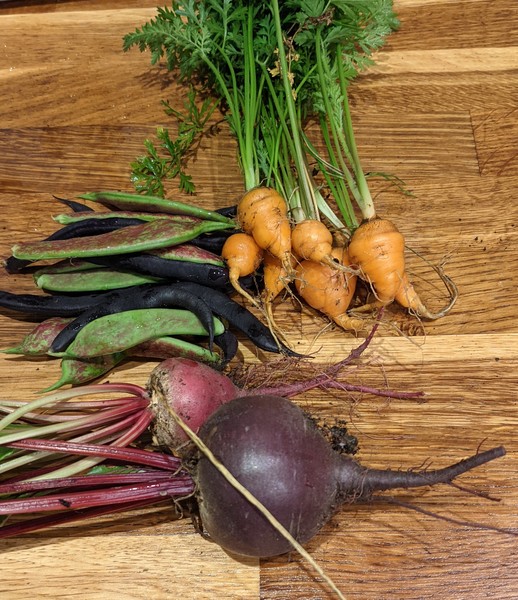 Allotment/Veg patch Thread 17 - onwards and upwards