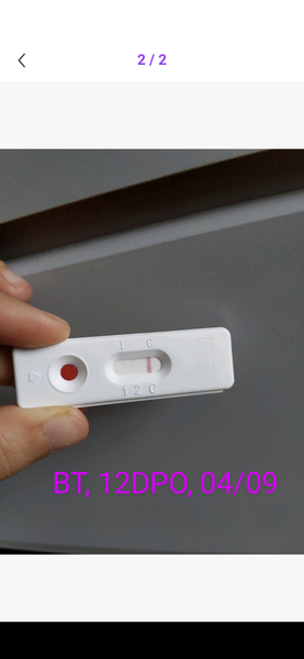 Help Help Help: Line Eyes