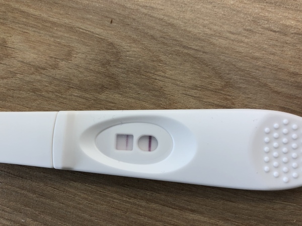 Fertility Clinic Appointments and Beyond..