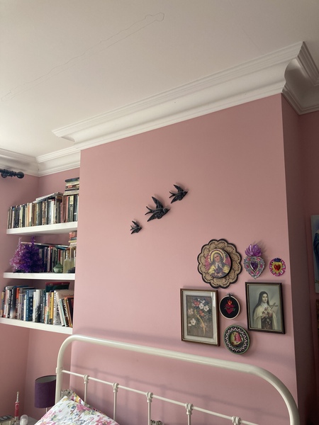 Pink Paint