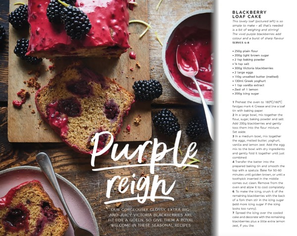 Ideas to make the coming autumn lovelier ( or at least a little more bearable)