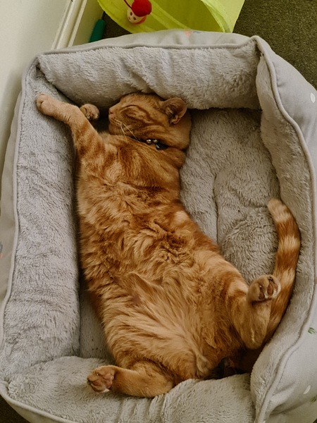 Plans for the day