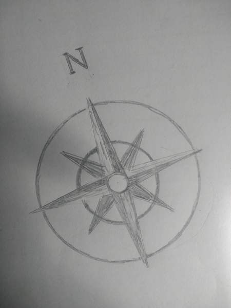 Unusual question about compasses