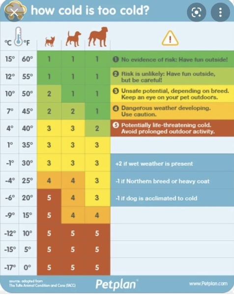 What temperature is too cold?