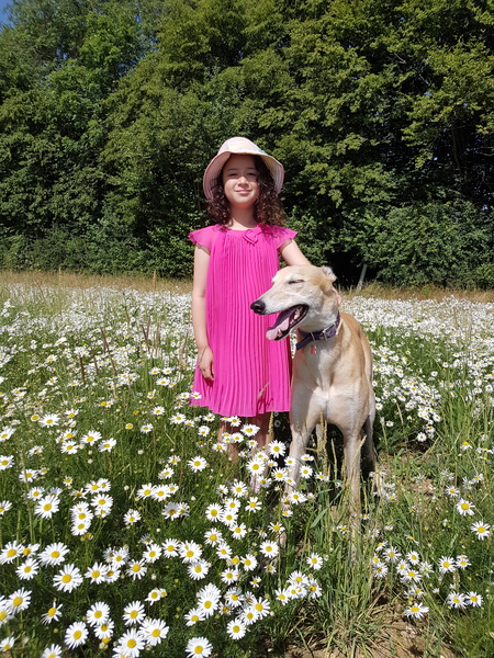 Calling all greyhound owners!